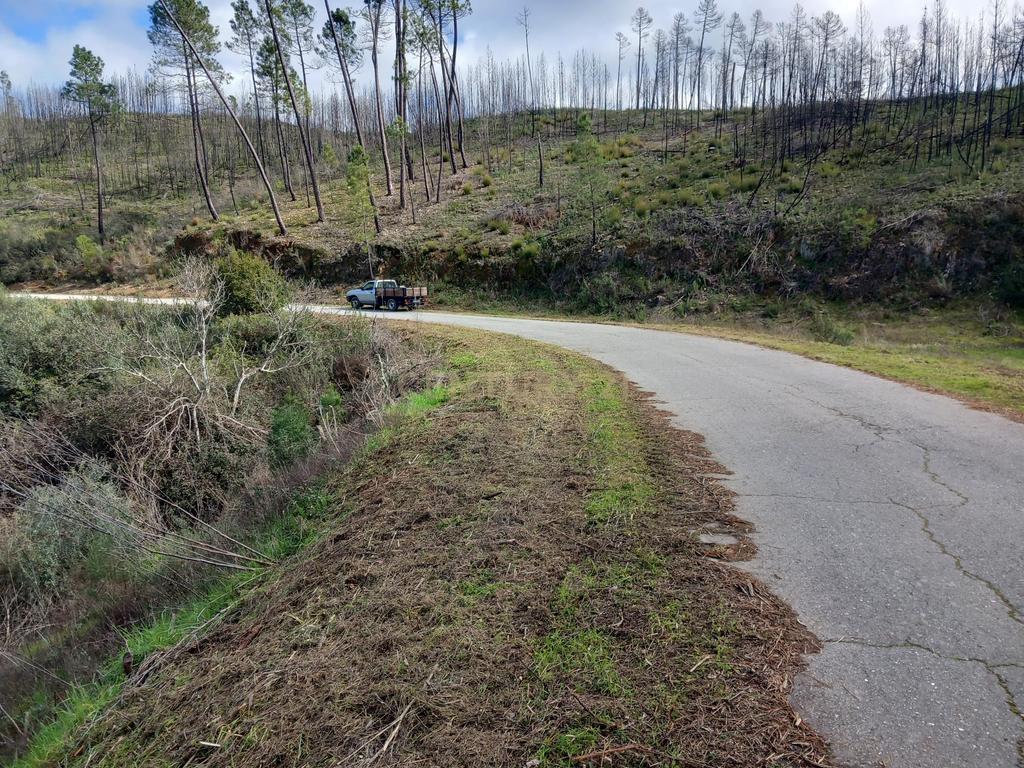 Terreno Rustico com 1450m2 Cerejeira-Alvito da Beira - Image 7